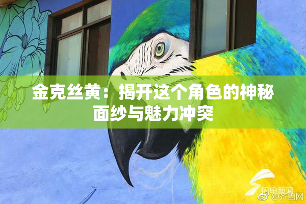 金克丝黄：揭开这个角色的神秘面纱与魅力冲突