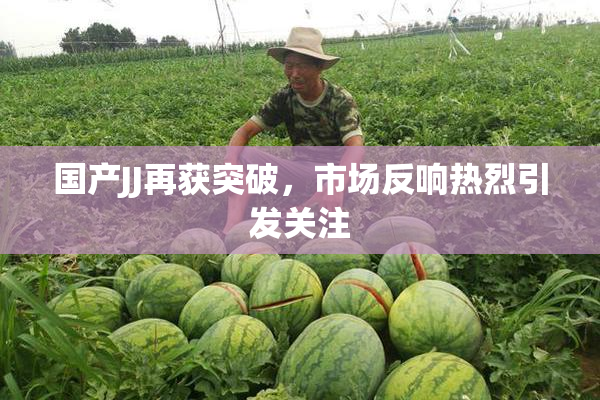 国产JJ再获突破，市场反响热烈引发关注