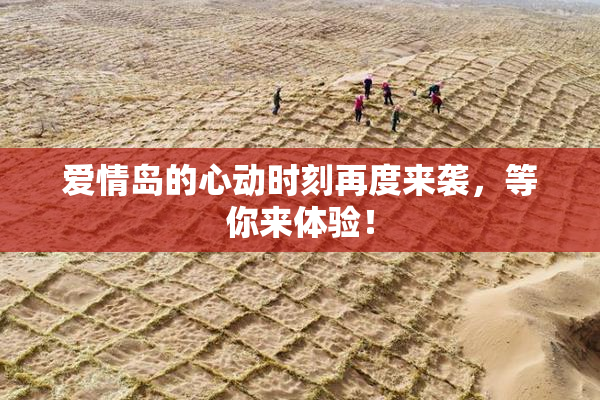爱情岛的心动时刻再度来袭，等你来体验！