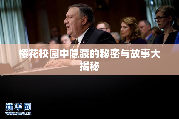 樱花校园中隐藏的秘密与故事大揭秘