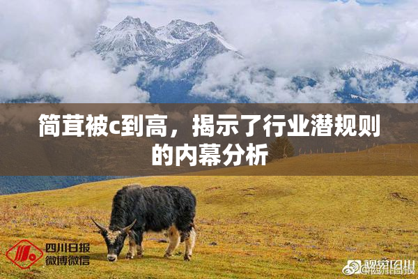 简茸被c到高，揭示了行业潜规则的内幕分析