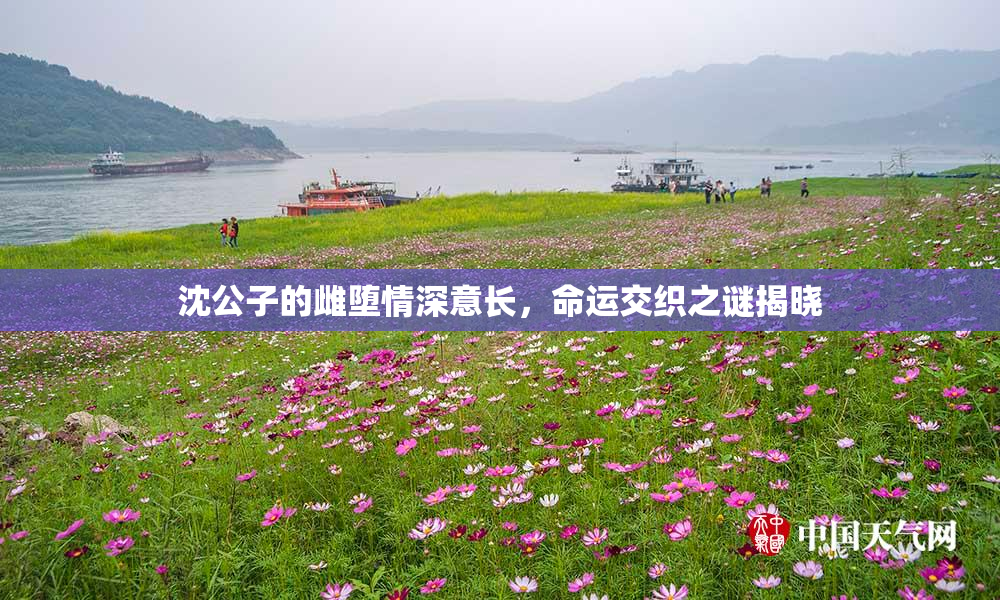 沈公子的雌堕情深意长，命运交织之谜揭晓