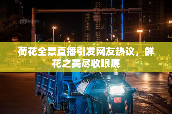 荷花全景直播引发网友热议，鲜花之美尽收眼底