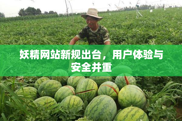 妖精网站新规出台，用户体验与安全并重