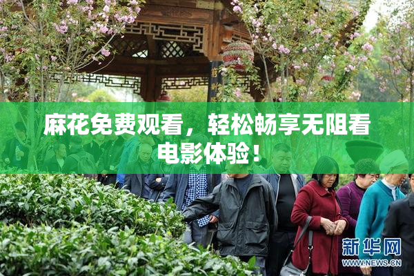麻花免费观看，轻松畅享无阻看电影体验！