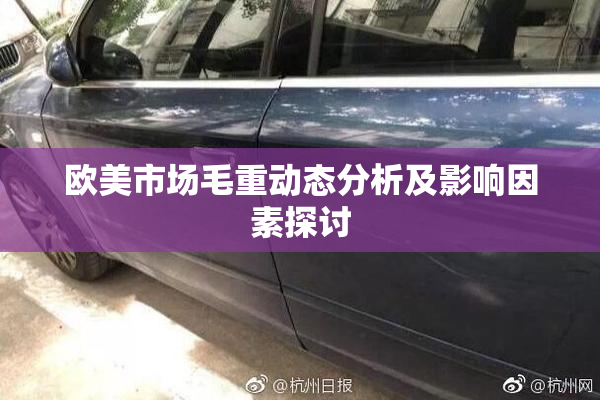 欧美市场毛重动态分析及影响因素探讨
