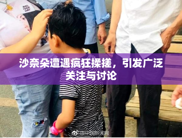 沙奈朵遭遇疯狂揉搓，引发广泛关注与讨论