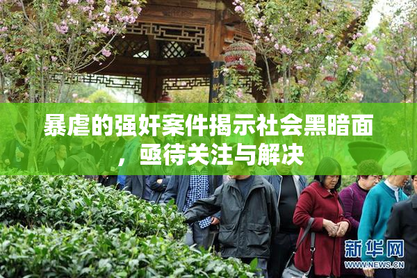 暴虐的强奸案件揭示社会黑暗面，亟待关注与解决