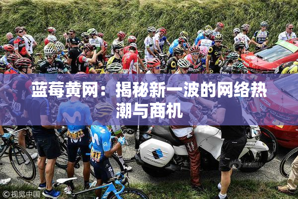 蓝莓黄网：揭秘新一波的网络热潮与商机