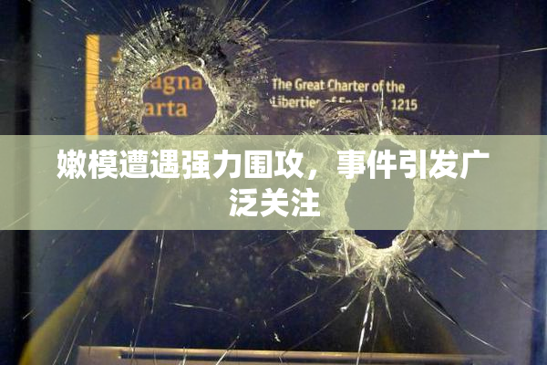 嫩模遭遇强力围攻，事件引发广泛关注