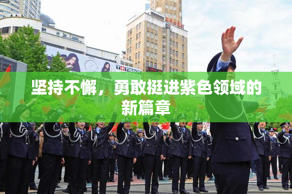 坚持不懈，勇敢挺进紫色领域的新篇章