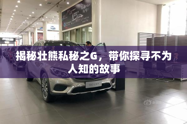 揭秘壮熊私秘之G，带你探寻不为人知的故事