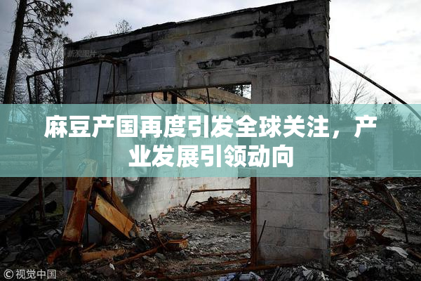 麻豆产国再度引发全球关注，产业发展引领动向