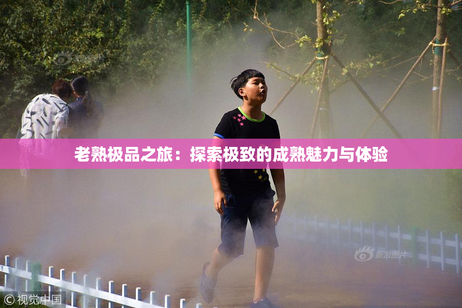 老熟极品之旅：探索极致的成熟魅力与体验