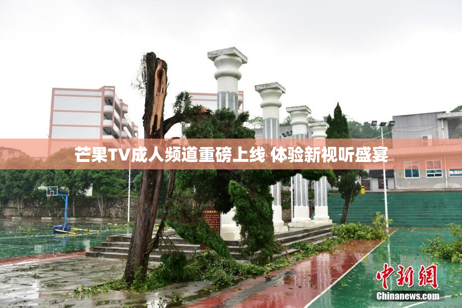 芒果TV成人频道重磅上线 体验新视听盛宴