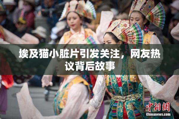 埃及猫小脏片引发关注，网友热议背后故事