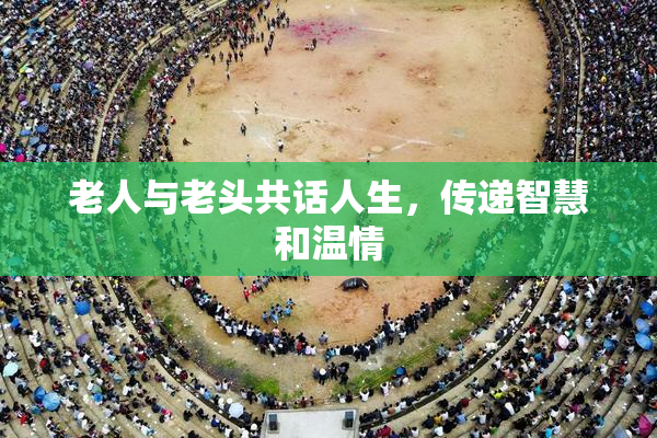 老人与老头共话人生，传递智慧和温情