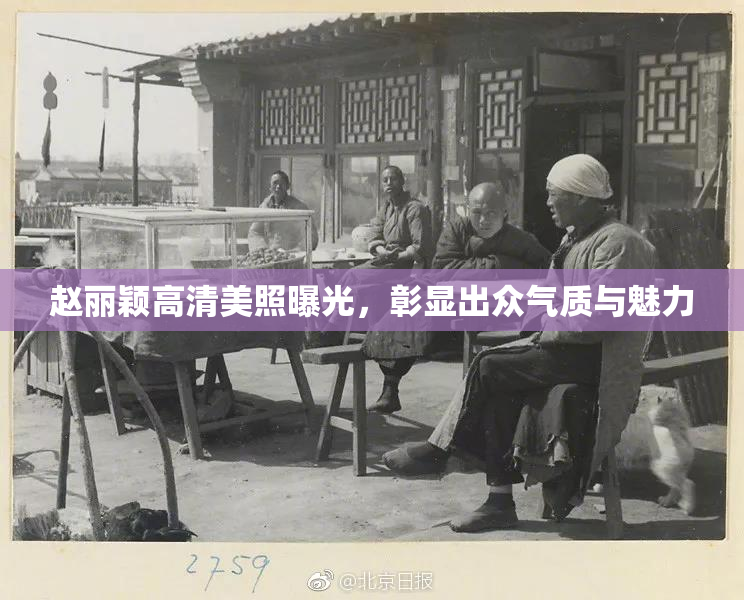 赵丽颖高清美照曝光，彰显出众气质与魅力