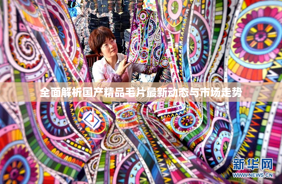 全面解析国产精品毛片最新动态与市场走势