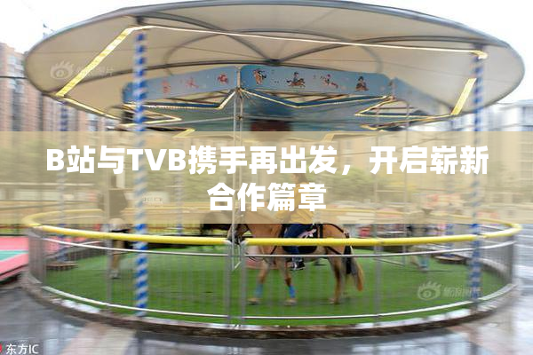 B站与TVB携手再出发，开启崭新合作篇章
