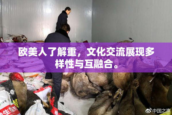 欧美人了解重，文化交流展现多样性与互融合。
