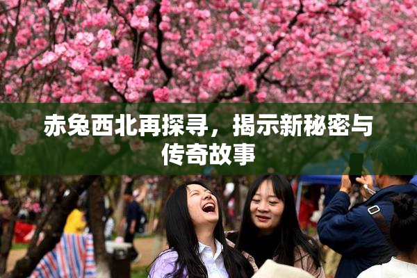 赤兔西北再探寻，揭示新秘密与传奇故事