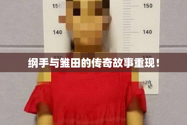 纲手与雏田的传奇故事重现！
