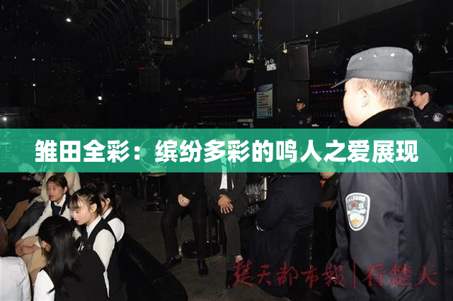 雏田全彩：缤纷多彩的鸣人之爱展现