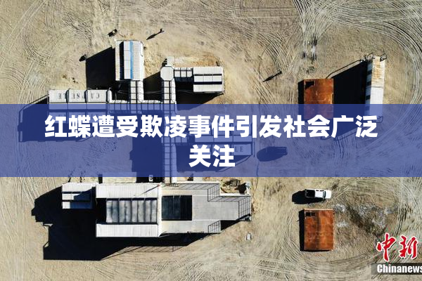红蝶遭受欺凌事件引发社会广泛关注