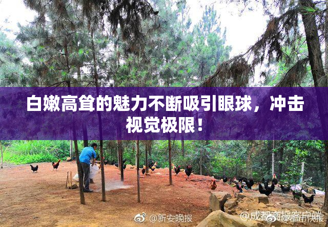 白嫩高耸的魅力不断吸引眼球，冲击视觉极限！