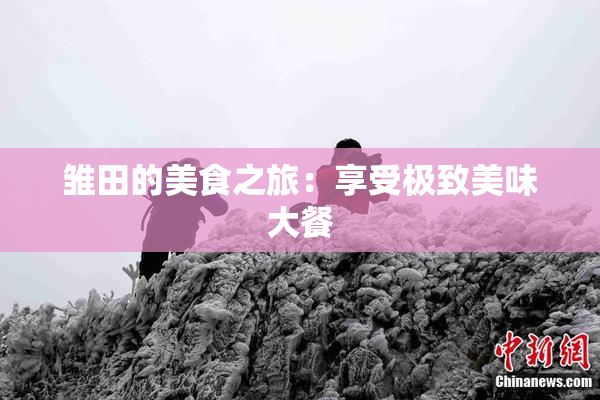 雏田的美食之旅：享受极致美味大餐