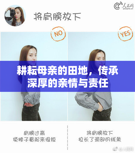 耕耘母亲的田地，传承深厚的亲情与责任