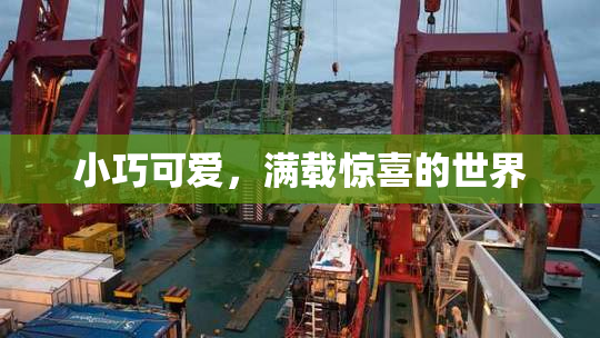 小巧可爱，满载惊喜的世界