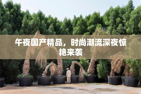 午夜国产精品，时尚潮流深夜惊艳来袭