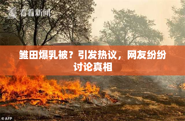 雏田爆乳被？引发热议，网友纷纷讨论真相