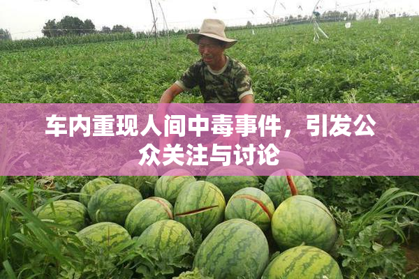 车内重现人间中毒事件，引发公众关注与讨论