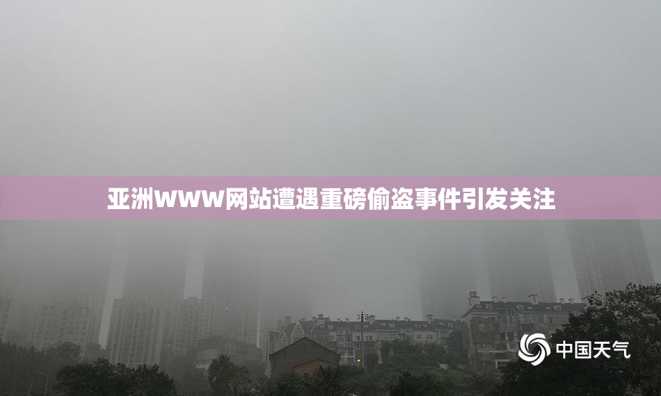 亚洲WWW网站遭遇重磅偷盗事件引发关注