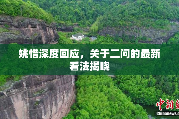 姚惜深度回应，关于二问的最新看法揭晓