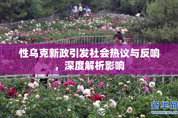 性乌克新政引发社会热议与反响，深度解析影响