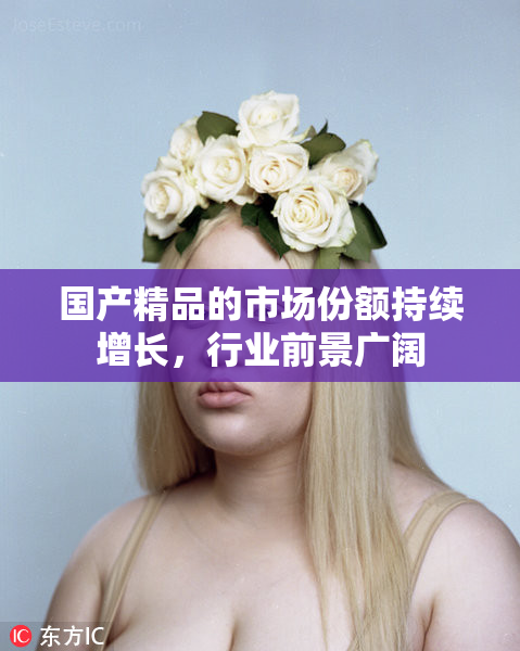 国产精品的市场份额持续增长，行业前景广阔