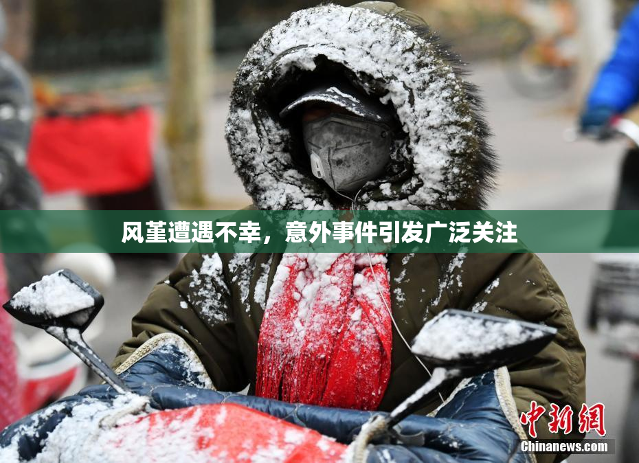 风堇遭遇不幸，意外事件引发广泛关注
