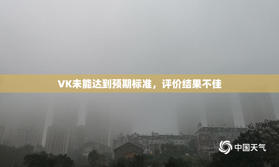 VK未能达到预期标准，评价结果不佳