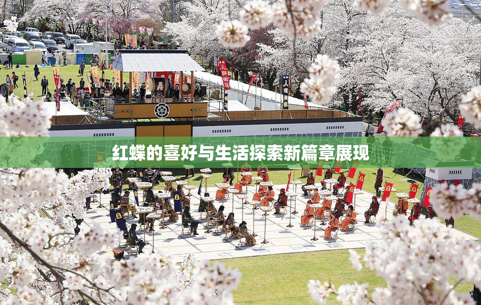 红蝶的喜好与生活探索新篇章展现