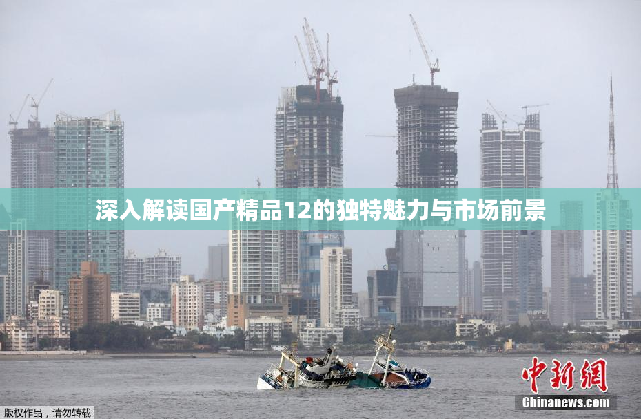 深入解读国产精品12的独特魅力与市场前景