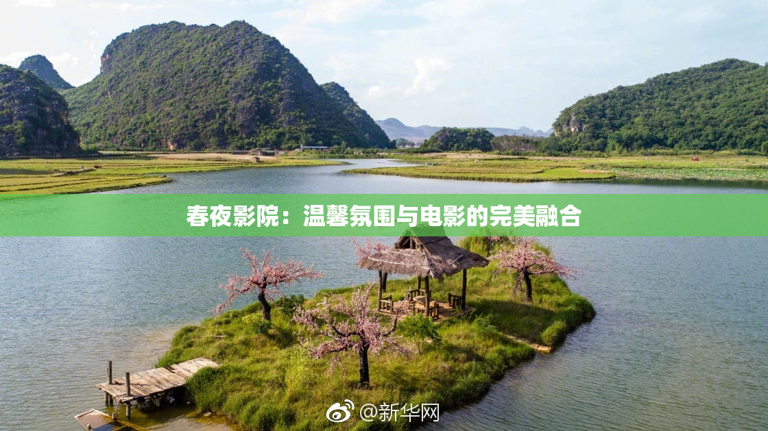 春夜影院：温馨氛围与电影的完美融合