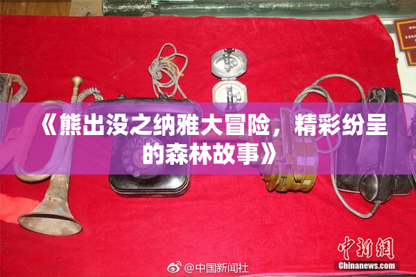《熊出没之纳雅大冒险，精彩纷呈的森林故事》