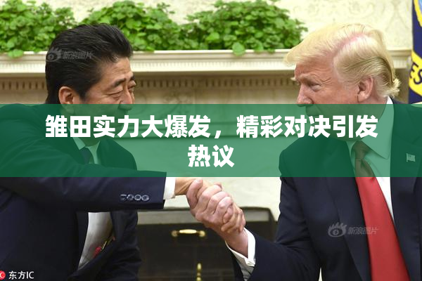 雏田实力大爆发，精彩对决引发热议