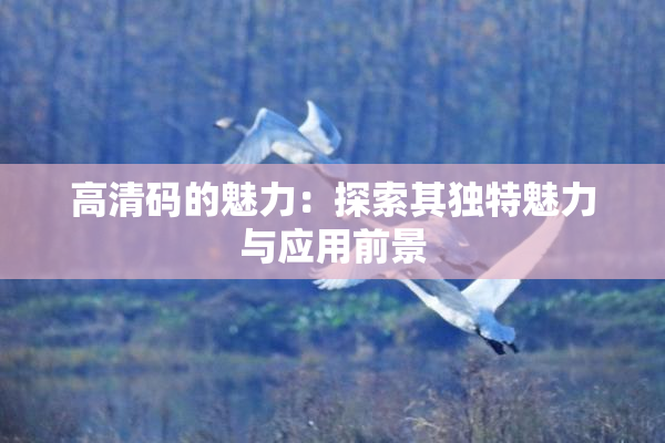 高清码的魅力：探索其独特魅力与应用前景