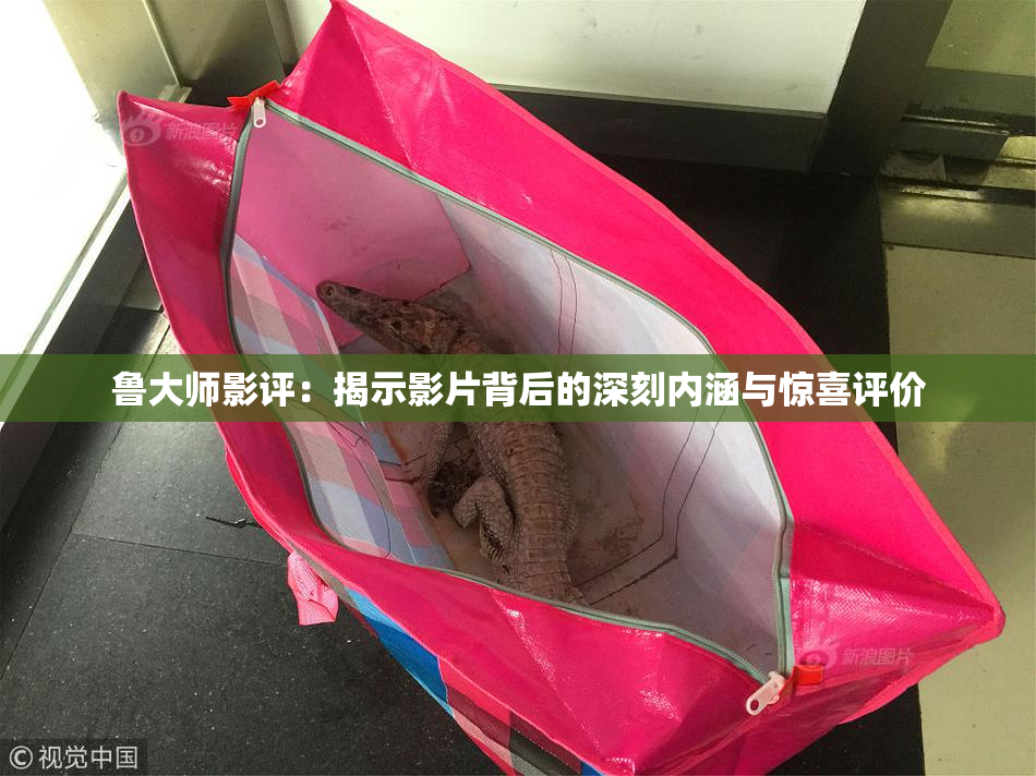 鲁大师影评：揭示影片背后的深刻内涵与惊喜评价