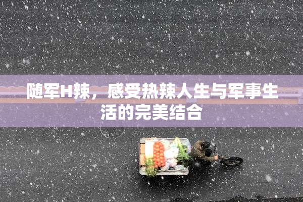 随军H辣，感受热辣人生与军事生活的完美结合